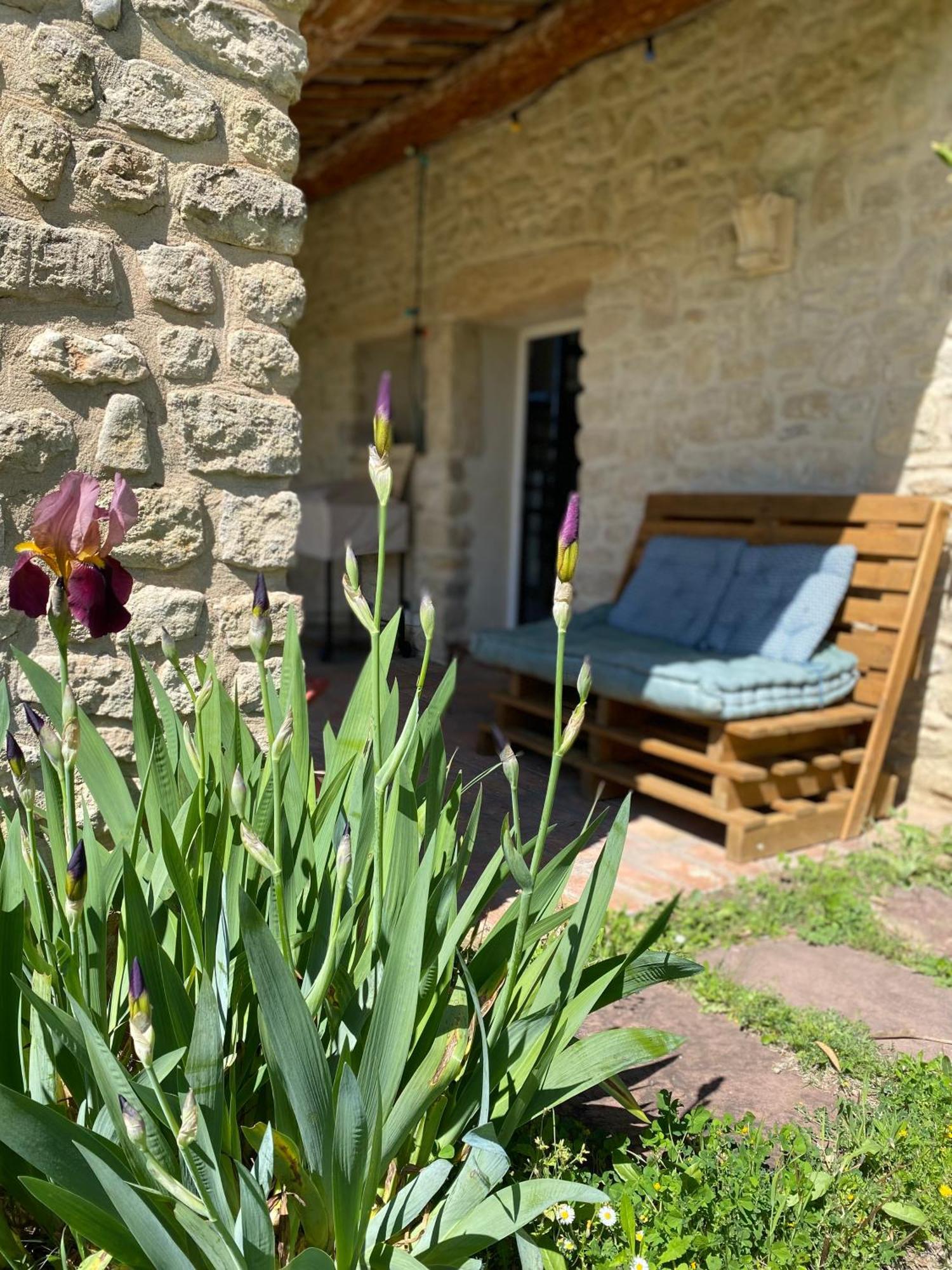 Gite Des Amis Domaine De Mas Caron Caromb Екстер'єр фото
